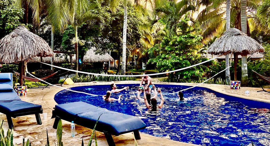 Accomodatie The Dreamer in Palomino Accomodatie The Dreamer in Palomino